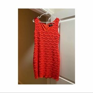 Scalloped Lace Dress